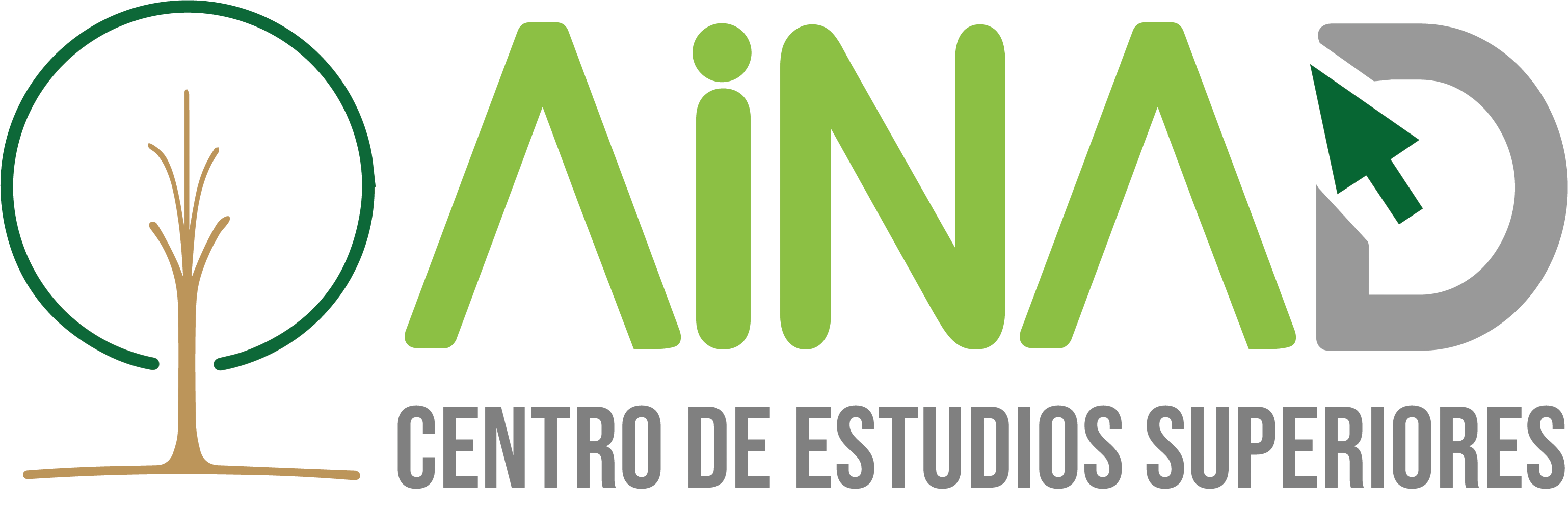 Logo AINAD